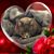 Susan McRee's profile image