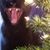 Andi Norm's profile image