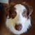 Heidi Mobley's profile image