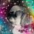 April Koenig's profile image