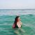 Katie M. Jasper's profile image