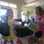 Judy Kerkman's profile image