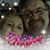 Eric Solum's profile image
