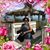 Chiara Vittoria's profile image