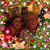 Evelyn Tardo's profile image