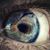 Kerry Parker's profile image