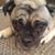 Kim Murray Wright's profile image