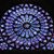 Tisha Belme's profile image