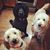 Kelli Mosier LeMaster's profile image