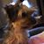 Kim Eversole's profile image