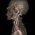 Grady Schorsch's profile image