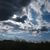Tracy Dawn Vought's profile image
