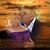 Claudia Lazar's profile image