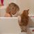Jenny Ericksen's profile image