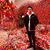 Simon Alex's profile image