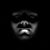 Jason O'Dell's profile image