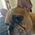 Javier Martinez's profile image