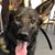 Cindy Collins Vanderbeck's profile image