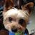 Janice Kelly Galla's profile image