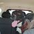 Lori Fowler Haas's profile image