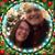 Bridget Judkins Lukowski's profile image