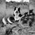 Chelsea Swisher Schultze's profile image