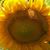 Connie Kerr's profile image