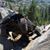 Nathaniel Labonte's profile image