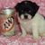 Annie Maloy's profile image
