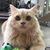 Shirley Bartlett Tibbitts's profile image