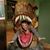 Sarah Elizabeth Gauld's profile image