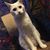 Starr Cacic's profile image