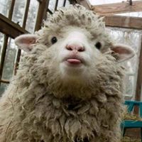 Yannick Weiler's profile image