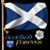 Wullie Ormond's profile image