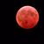 Karen Kastler's profile image