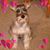 Kathy Barnard Wilson's profile image
