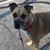 Marianne Raabe's profile image