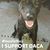 Jose Alvarez's profile image