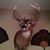 Jason Nichols's profile image