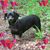 Gregoria Francisco's profile image