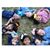 Lynette Loving's profile image