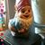 Linda Pelton's profile image