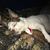 Christie Darnell's profile image