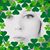 Nikki Cook's profile image