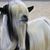 Steve Bell's profile image