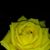 Libby Chisolm's profile image