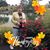 Susan Cuddy's profile image