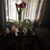 Patricia Minor-Cardwell's profile image