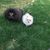 Natasha Rheaume's profile image