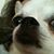 Ann Ragsdale's profile image